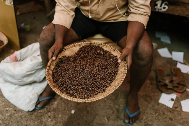Man sitting with coffee beans in a wicker holder.