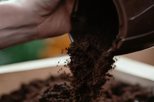 Coffee grounds being added to a compost bin.