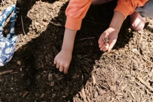 Compost with coffee grounds.