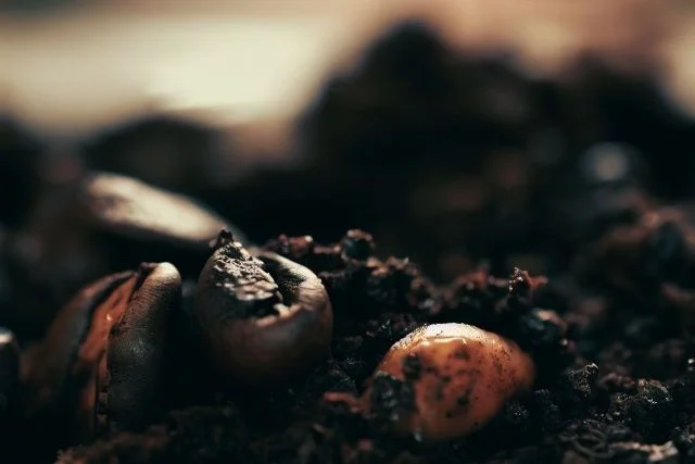 Image of used coffee grounds.