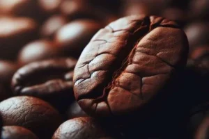A close-up of roasted coffee beans, shows its rich brown color and intricate texture.